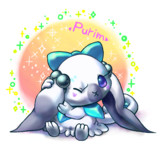 プリムの毛繕い
