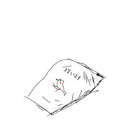 探してます