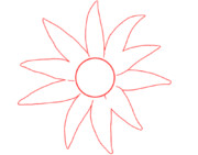 フランネルフラワー