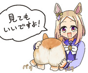 コーギーのけつのあなを見せてくれる方の委員長