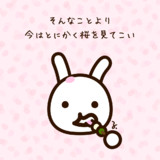 さくら