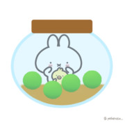 まりもの日だよ