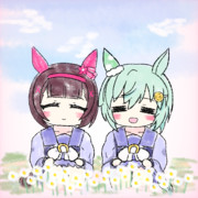 デイジーがたくさん咲きました