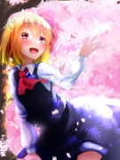 お花見なのかー