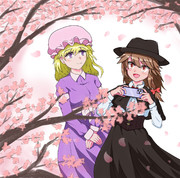 お花見にいった秘封倶楽部