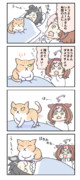 猫に注意するメイショウドトウ。