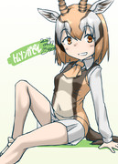 タイツオフルル