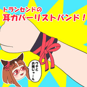 トランセンドのこんなグッズが欲しい！