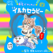 イルカのヒーリング効果 自宅で簡単イルカセラピー