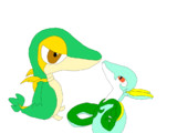 ジャローダとツタージャ