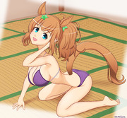 セクシータイキ