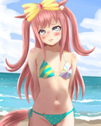 水着アグネスデジタル