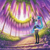 藤の花の撮影