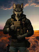 興国の裏技　ウルフ兄貴