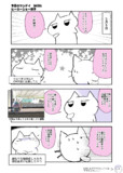 ヒーローショー梯子