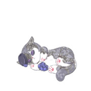 ライスニャワー