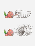 コメンバイVS酸味強化ニクルーツ