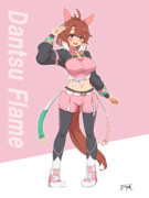 ダンツフレーム