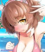 水着なダンツフレームちゃん