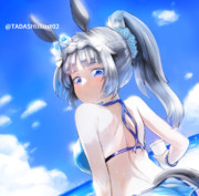 ポニテ水着ロブロイちゃん