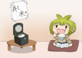 丼米