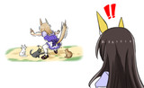 猫ちゃん天国地獄