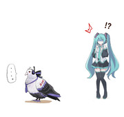 ハク姉 (？)
