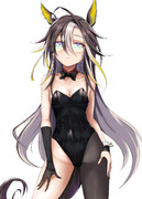 ドリームバーニー