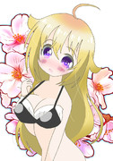 とらこ