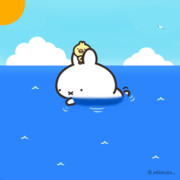 水泳の日だよ