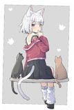 ねこ。