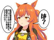 超めんどくさそうなマヤノMKⅡ