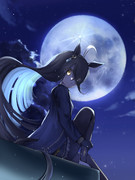 月明かりにてらされて