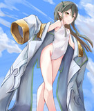 リュウノウギク