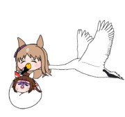 コウノトリグラスワンダー