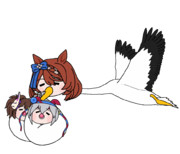 コウノトリスーパークリーク