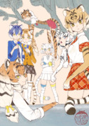 とらとらとら