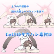 CeVIOタカハシ素材D
