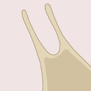 ｳﾜｧﾅﾒｸｼﾞ‼︎