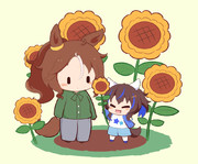 ひまわり