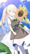 ひまわり