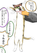 きりにゃん