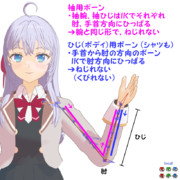 腕・ひじ・手首・捩りボーン回したい放題！