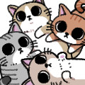 ねこネコ猫cat