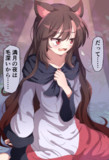 輝針城での影狼
