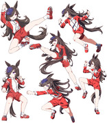 戦闘ライスまとめ