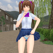 はたてちゃんのサービス