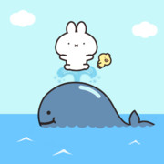 くじらの日だよ