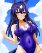 水着ヴィルシーナ