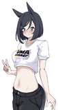エイシンフラッシュ